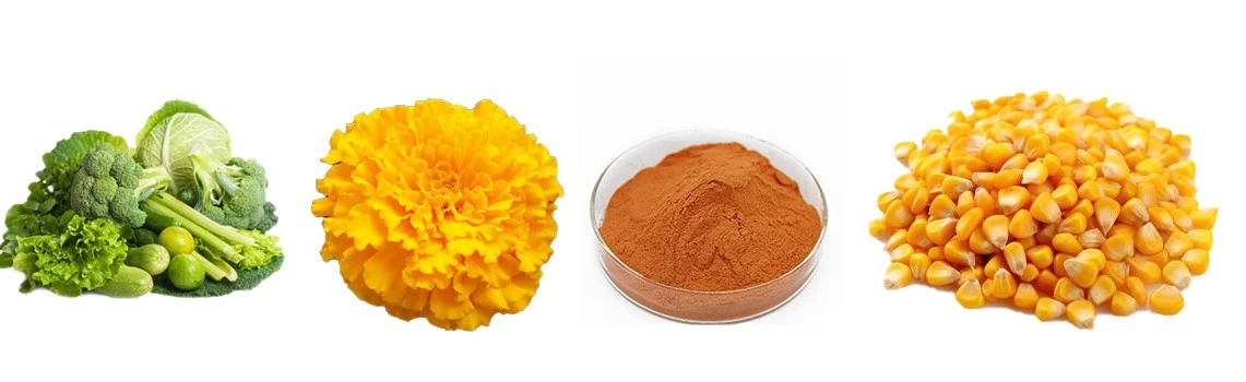 Zeaxanthin Powder2 Zeaxanthin Powder2