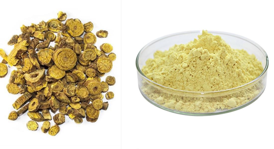 Scullcap root powder