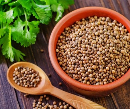 coriander powder2