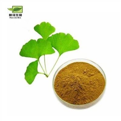 Ginkgo Biloba ekstrakt pulver
