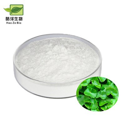 Gotu Kola Extract Powder